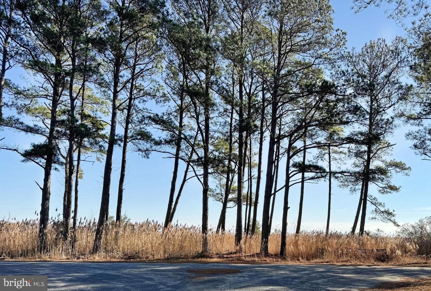 Lot 720 Castaway Drive photo 13