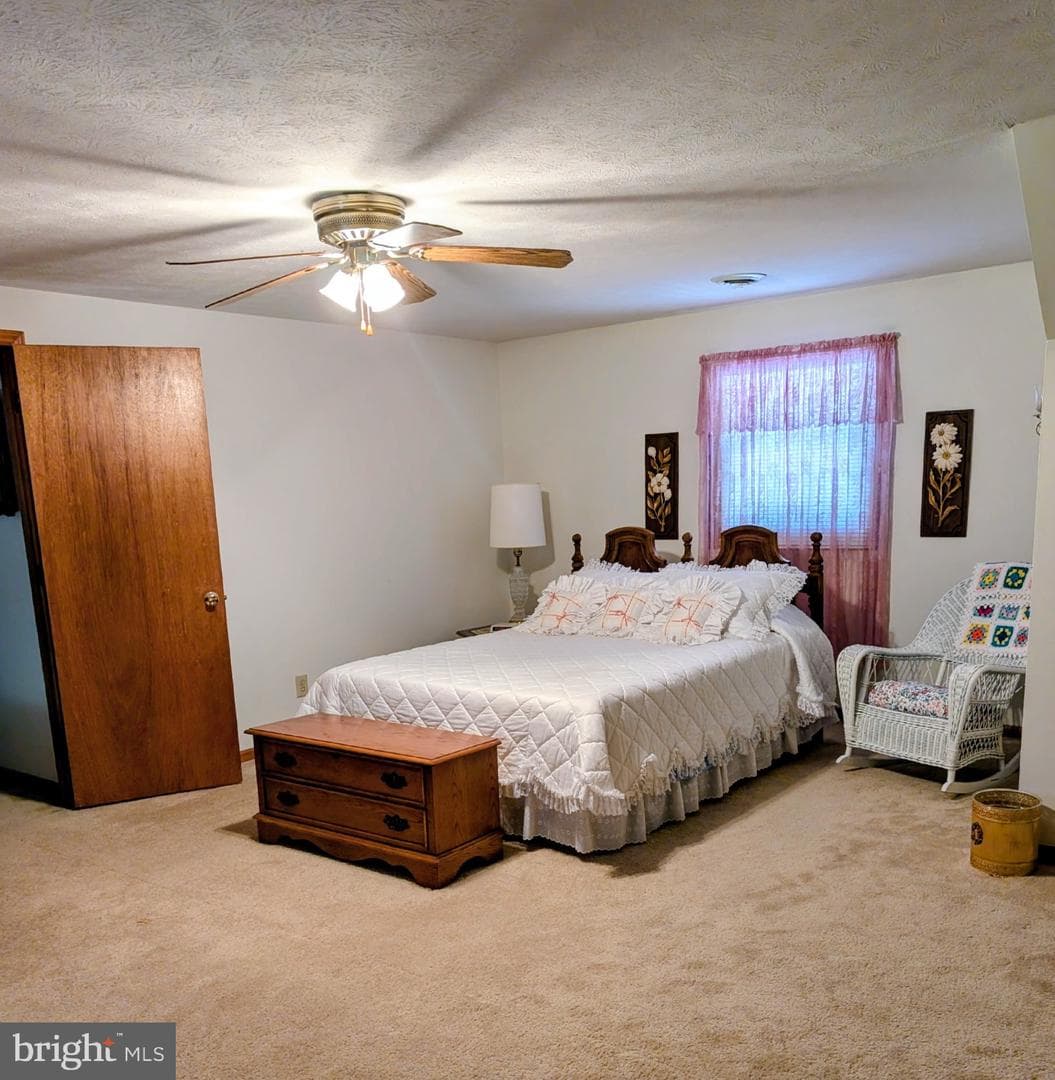 87 Falling Rock Drive photo 13