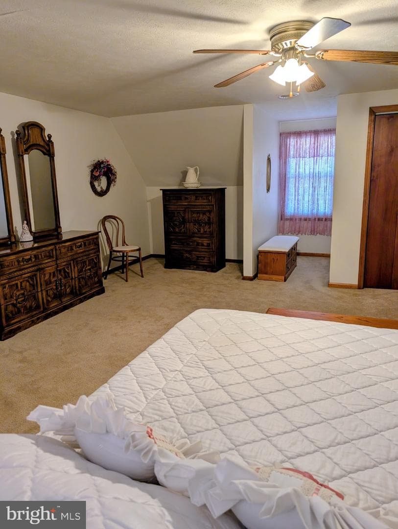 87 Falling Rock Drive photo 14