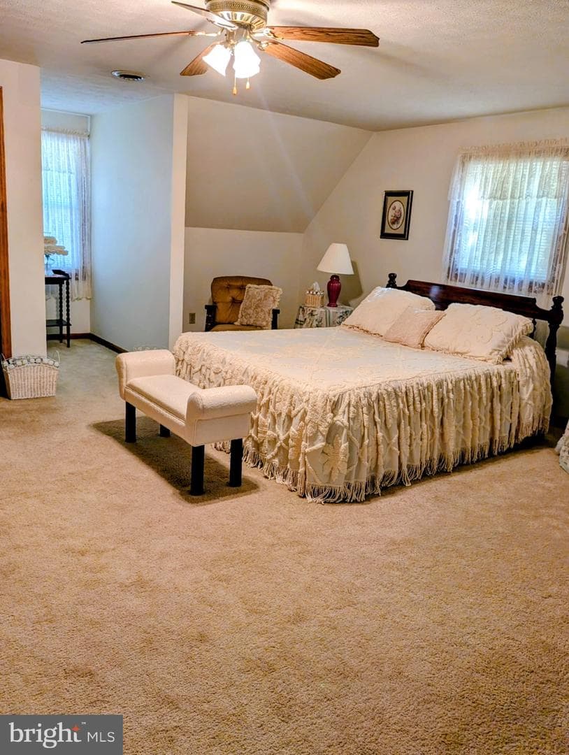87 Falling Rock Drive photo 16