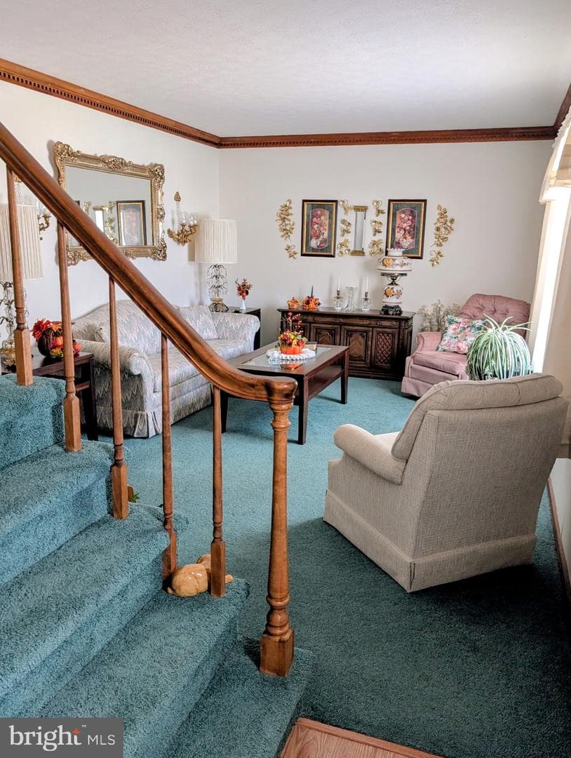 87 Falling Rock Drive photo 6