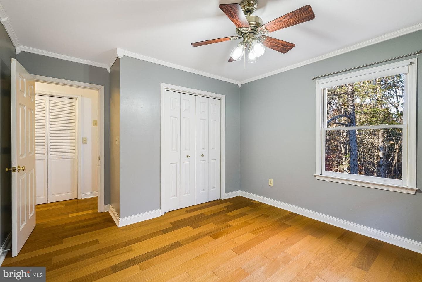 209 Raintree Road photo 28