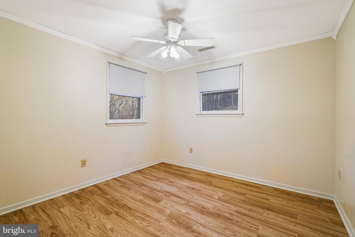 209 Raintree Road photo 36