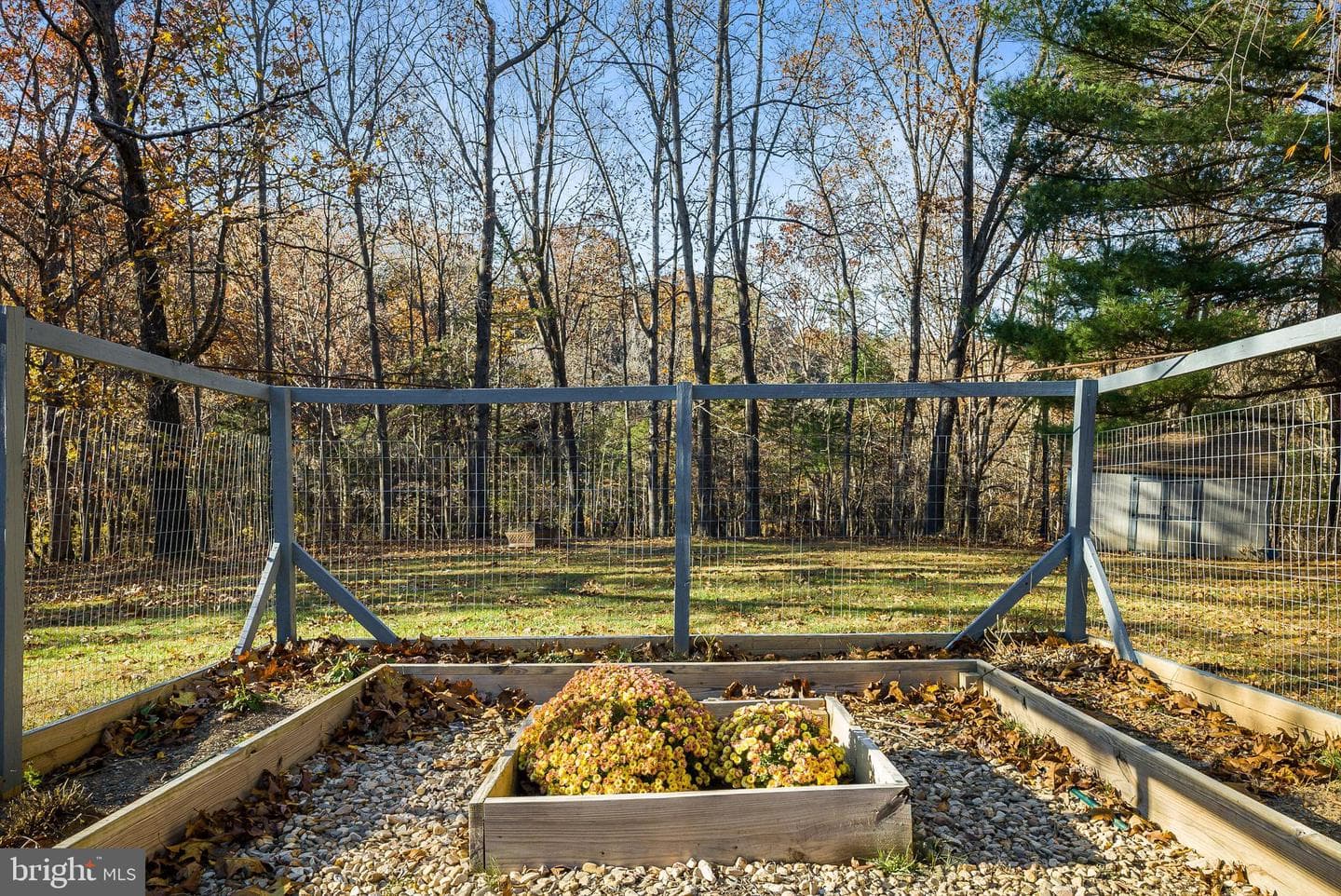 209 Raintree Road photo 50