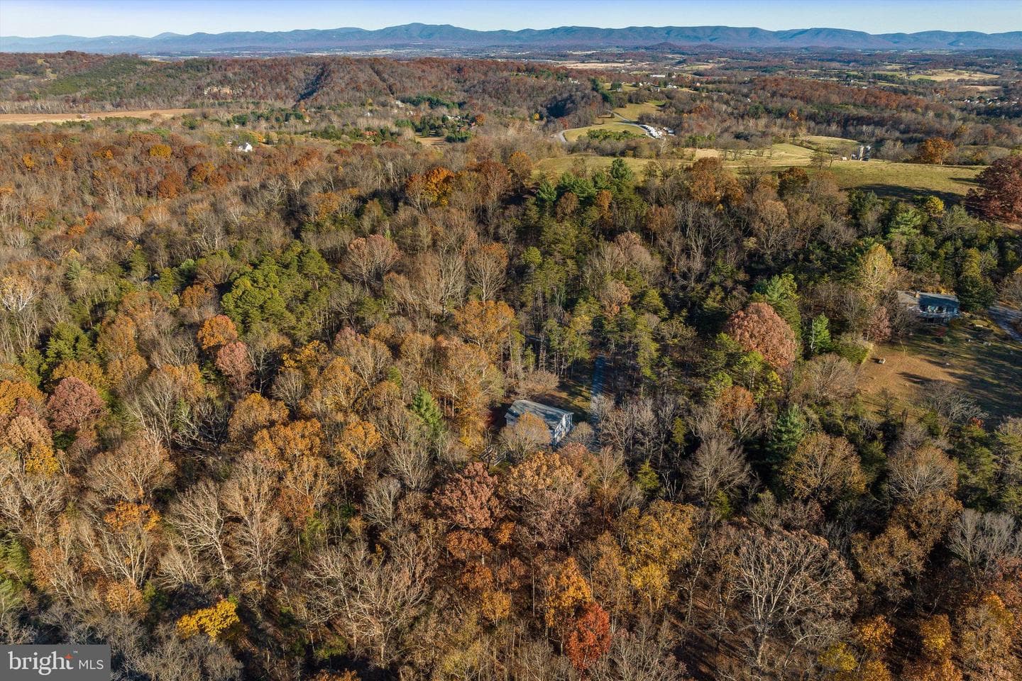 209 Raintree Road photo 58