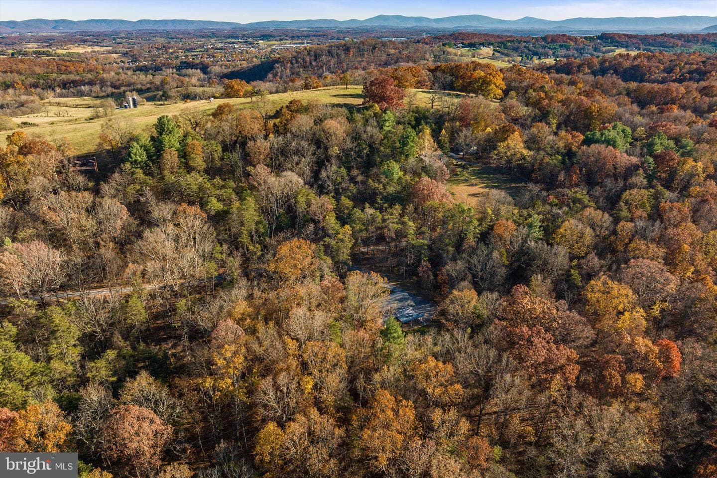 209 Raintree Road photo 59