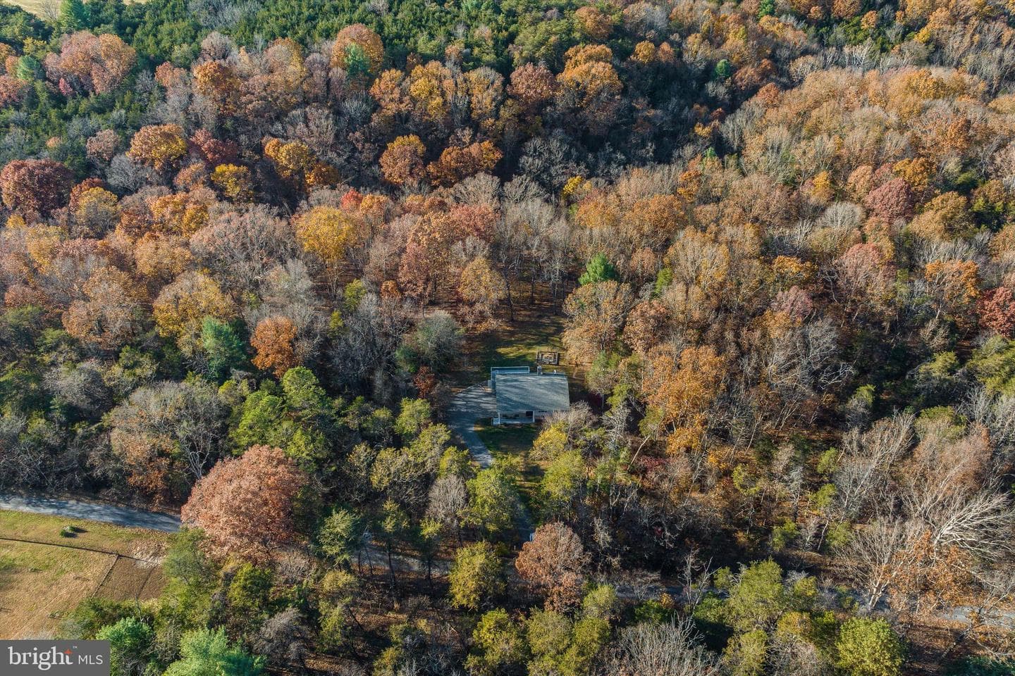 209 Raintree Road photo 61