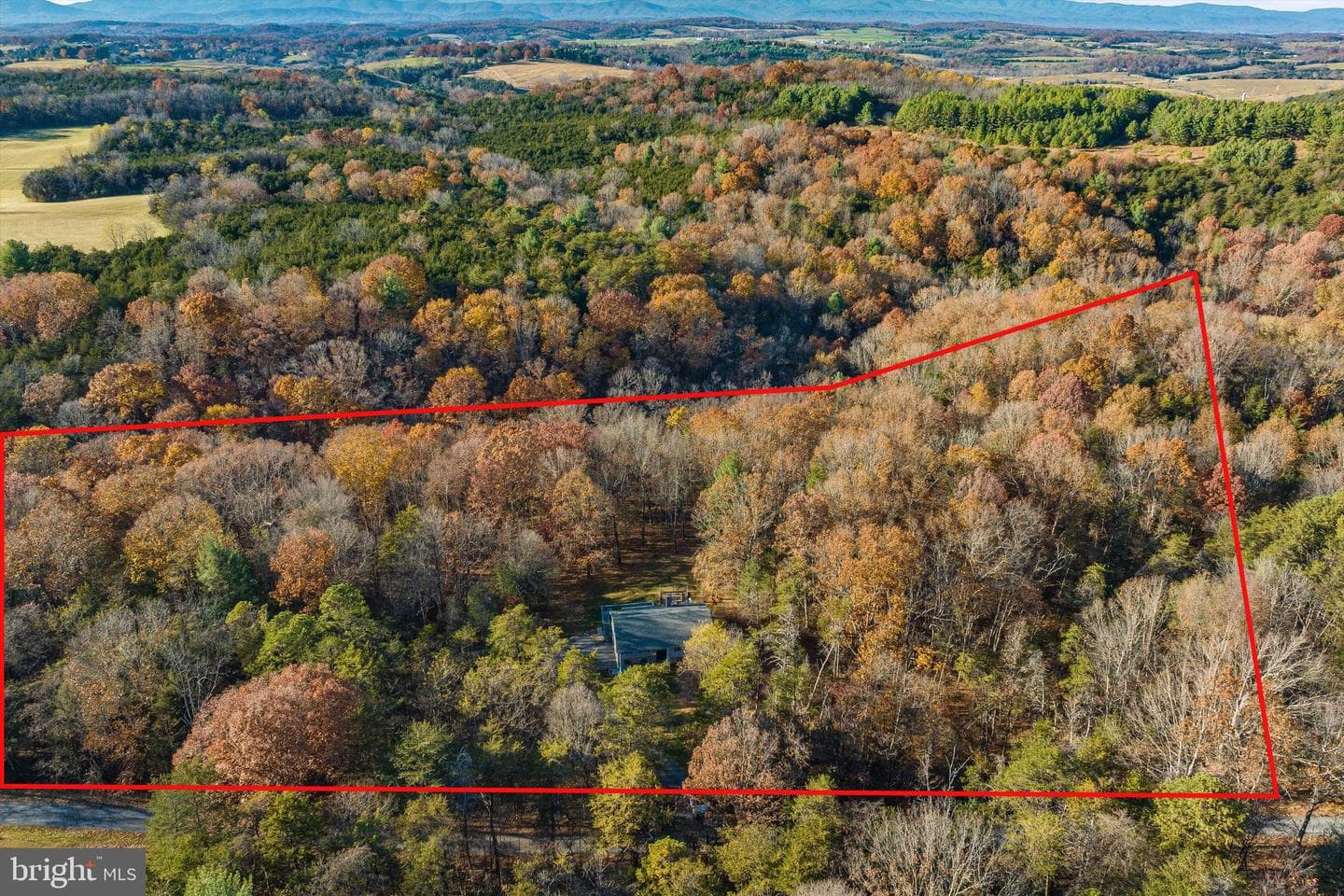 209 Raintree Road photo 62