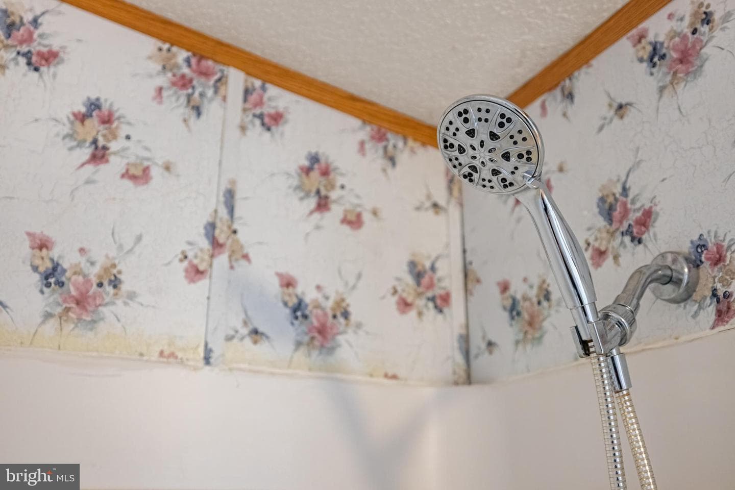 38 Maggie Lane photo 42