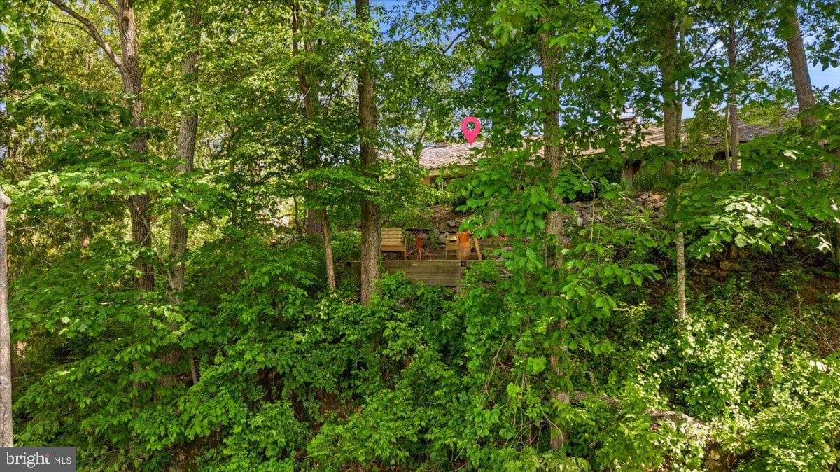 356 River View Drive photo 16