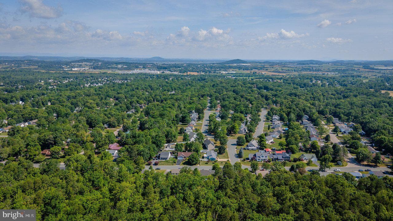 215 Forest Drive photo 85
