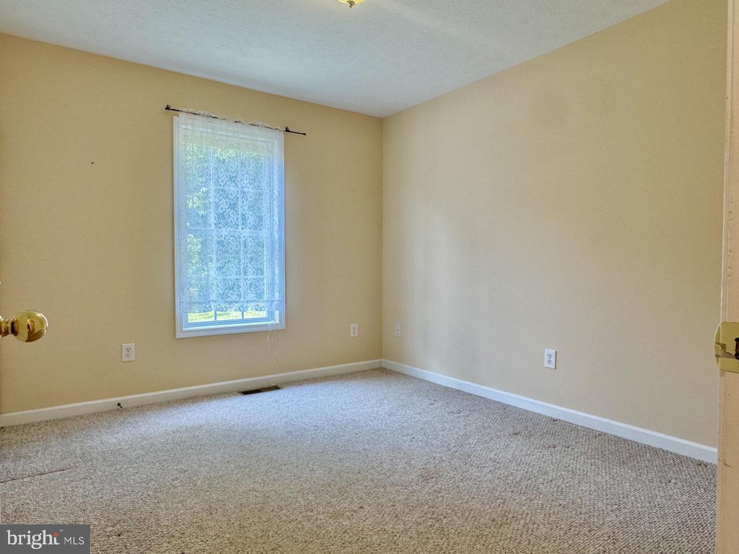 20 Millport Court photo 11