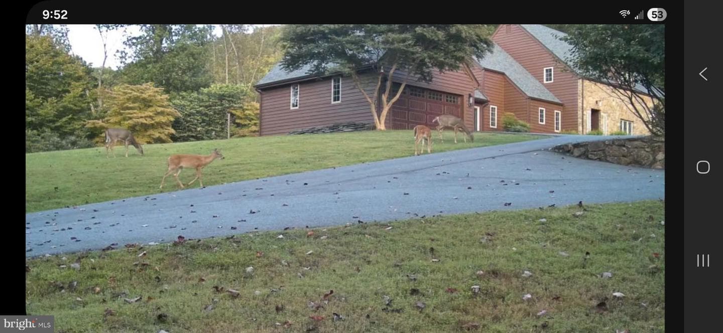 181 Mobley Mtn Rd photo 101