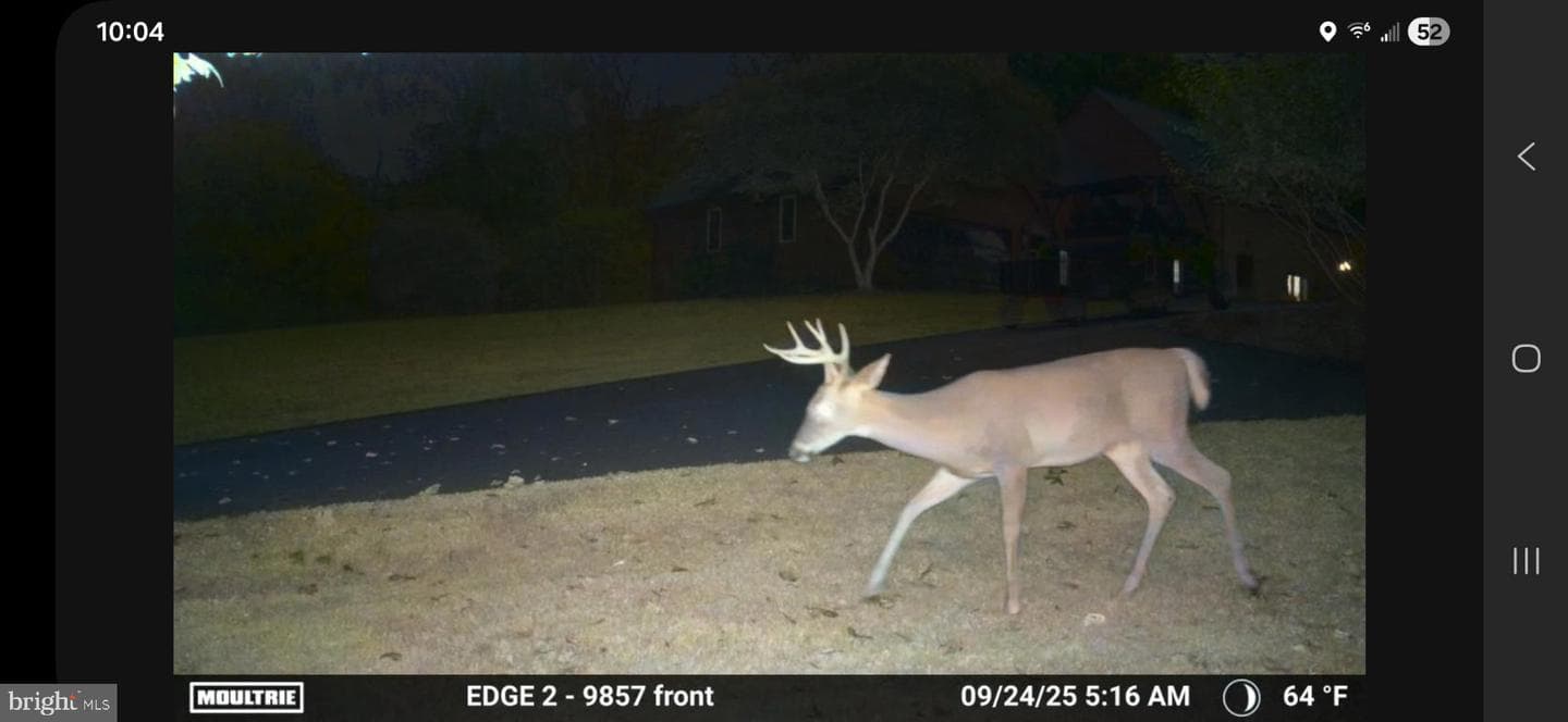 181 Mobley Mtn Rd photo 102