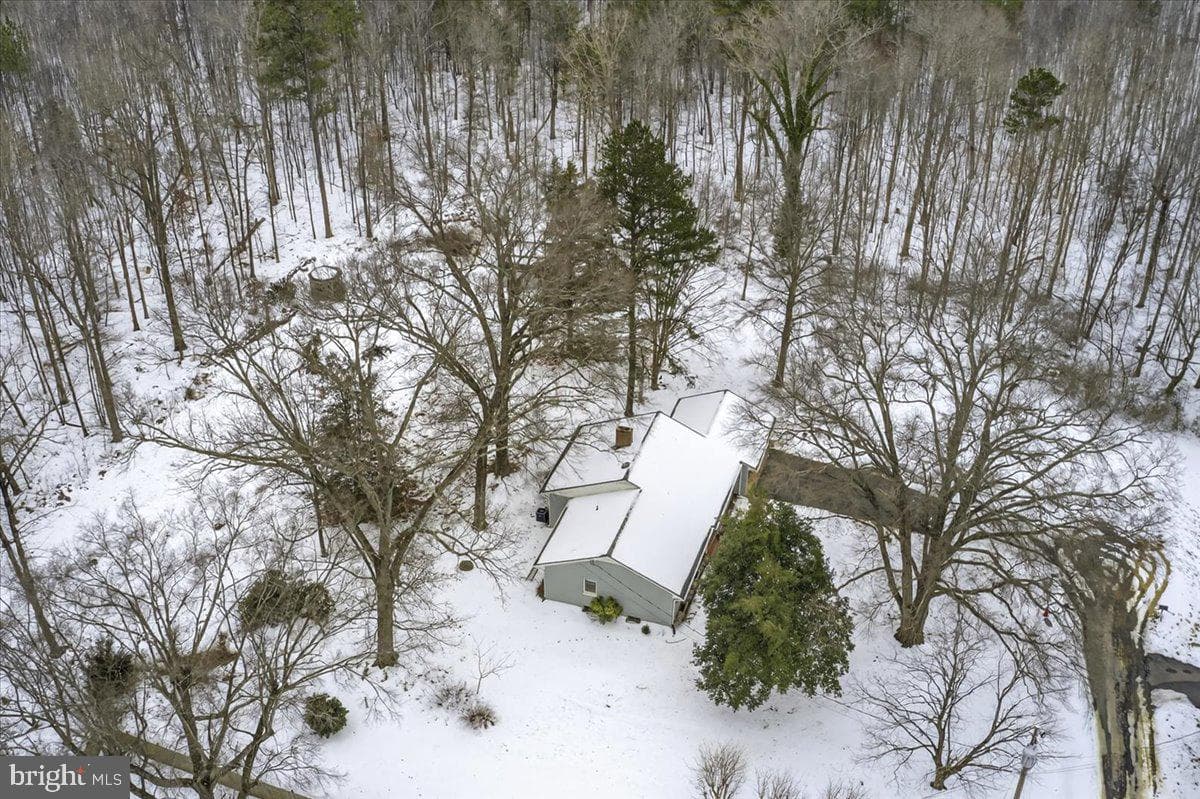 8901 Deekens Street photo 49