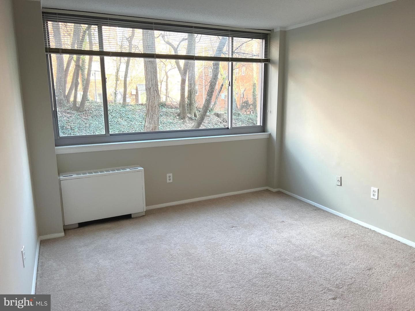5353 Columbia Pike #308 photo 17