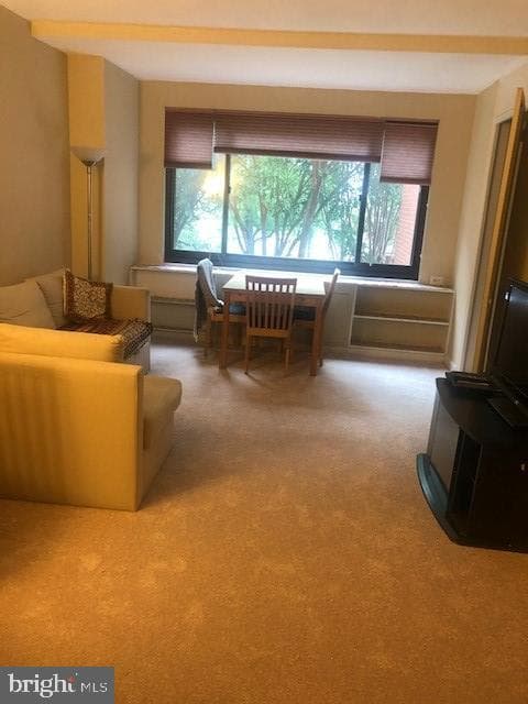 1021 Arlington Boulevard #341 photo 9