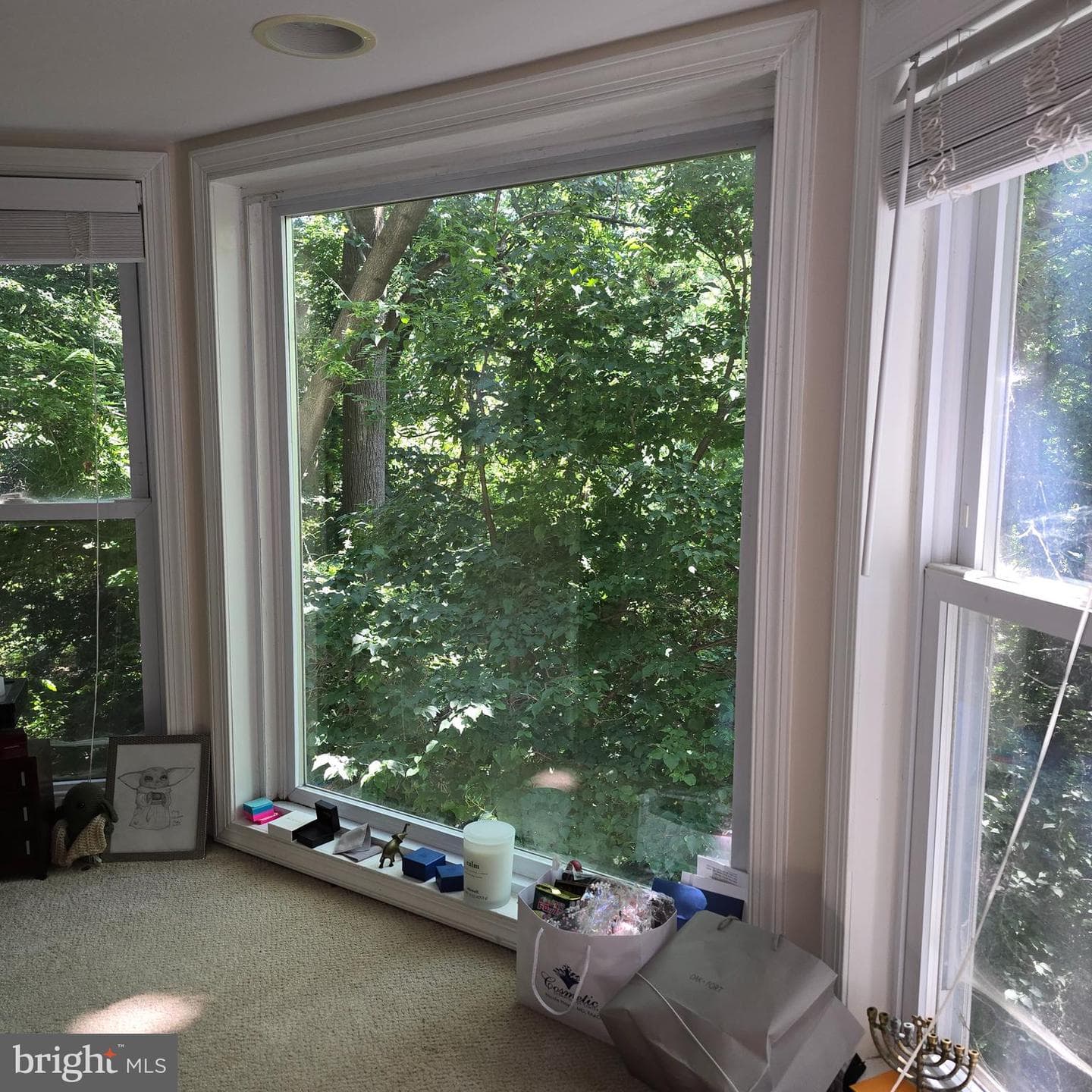 2701 24th Street N photo 19