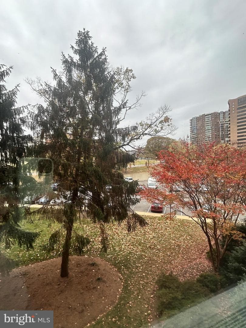 1111 Arlington Boulevard #316 photo 5