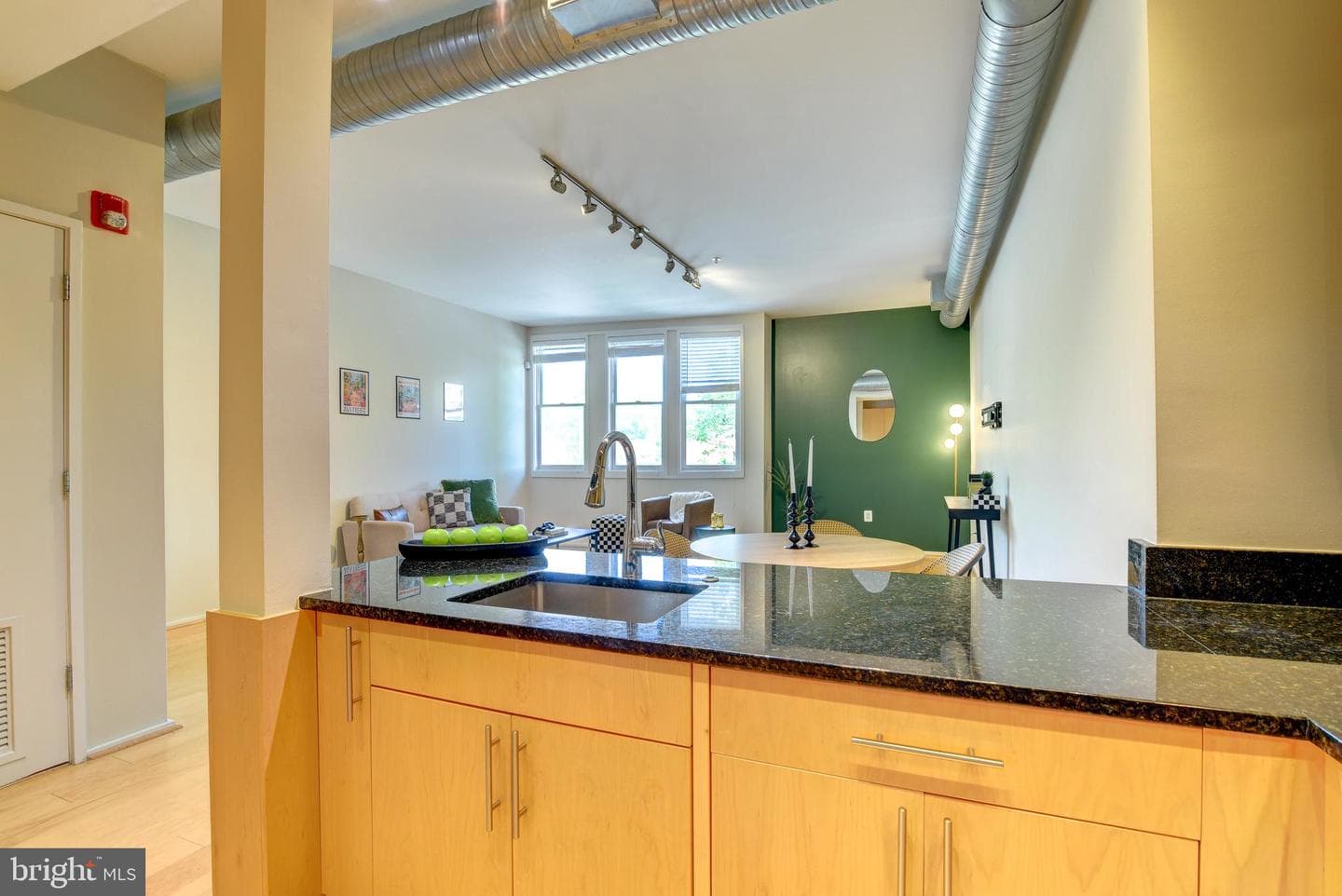 3800 Langston Boulevard #206 photo 8