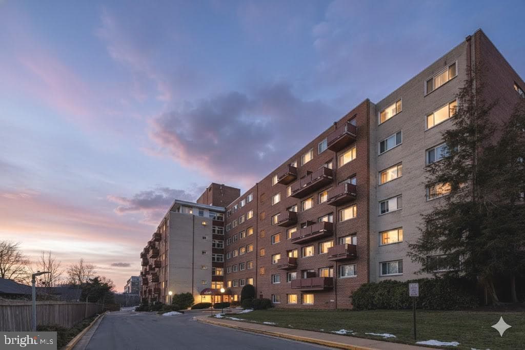 1830 Columbia Pike #207 photo 2