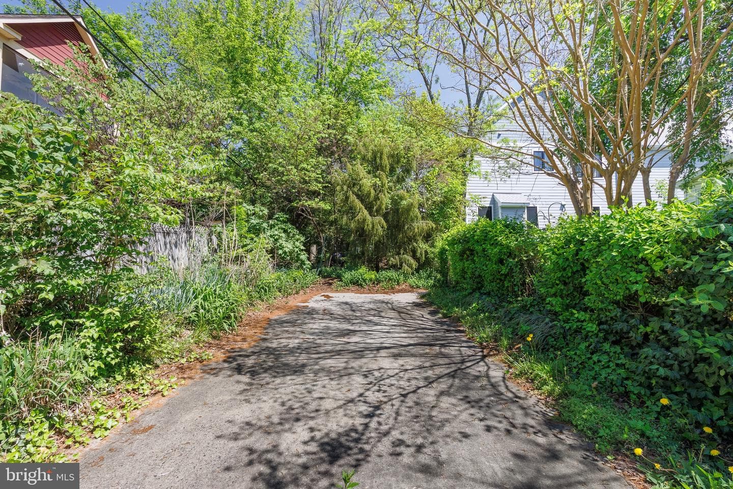 1715 S Kent Street photo 5