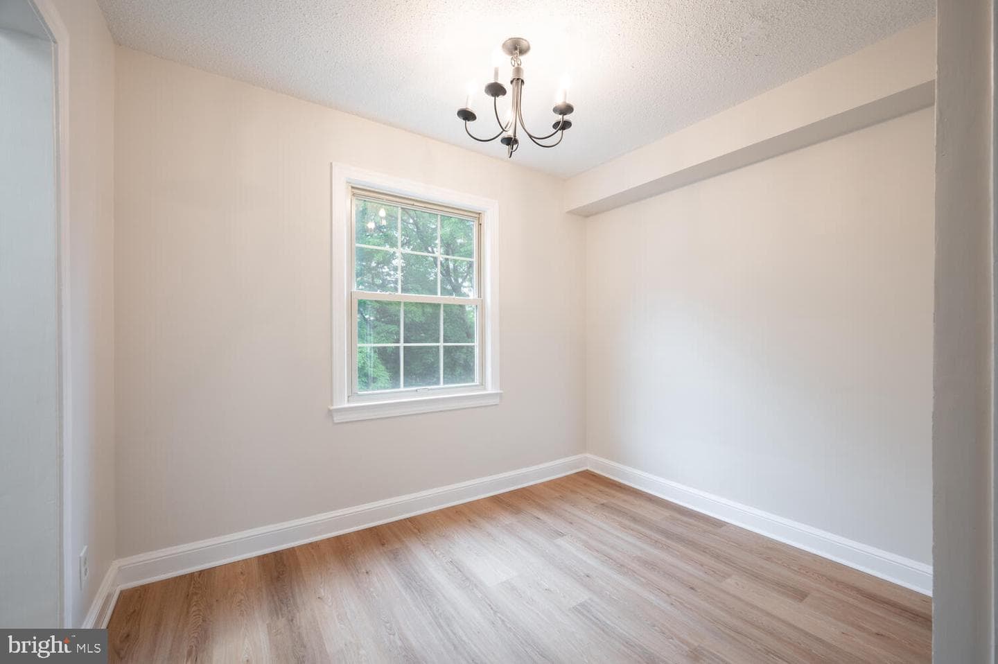 2509 Arlington Boulevard #201 photo 11