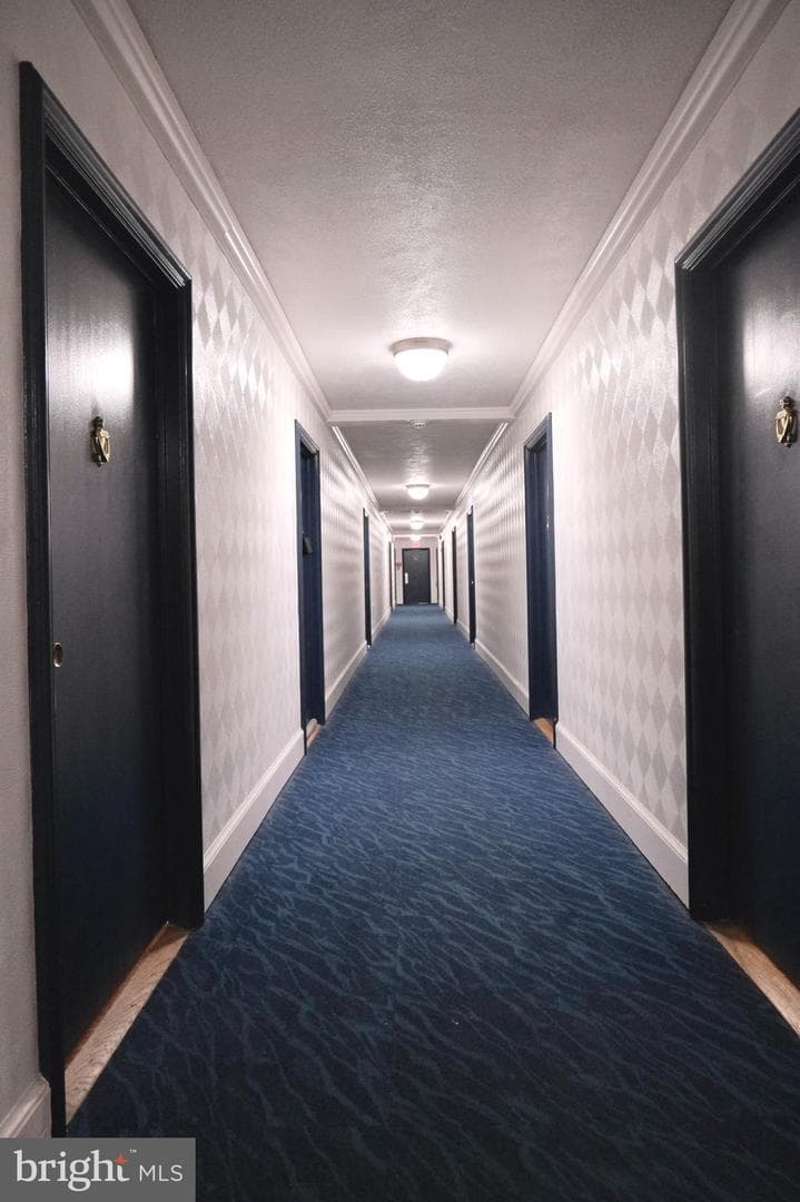 1111 Arlington Boulevard #501 photo 24