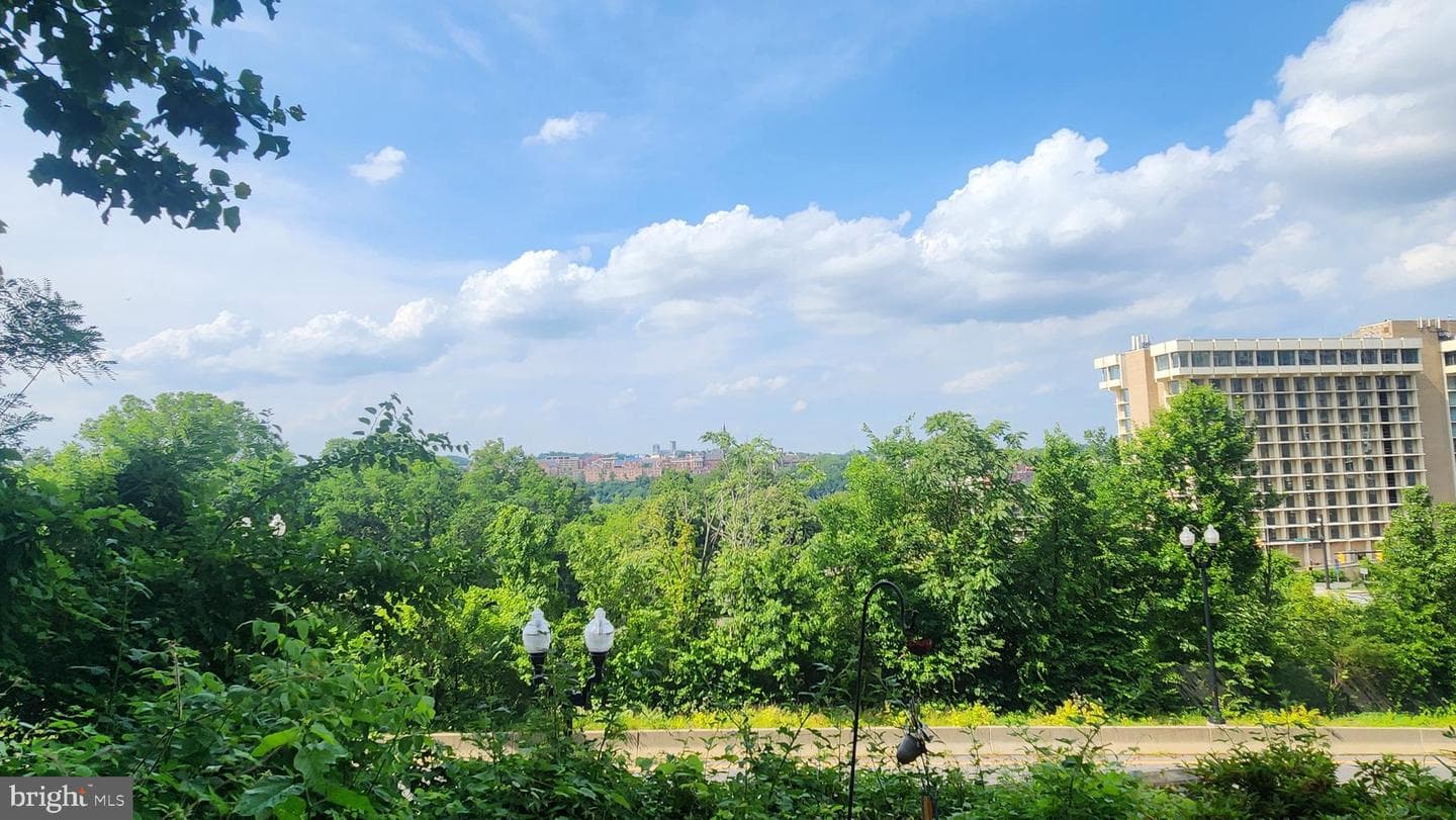 1575 N Colonial Terrace #204-Y photo 10