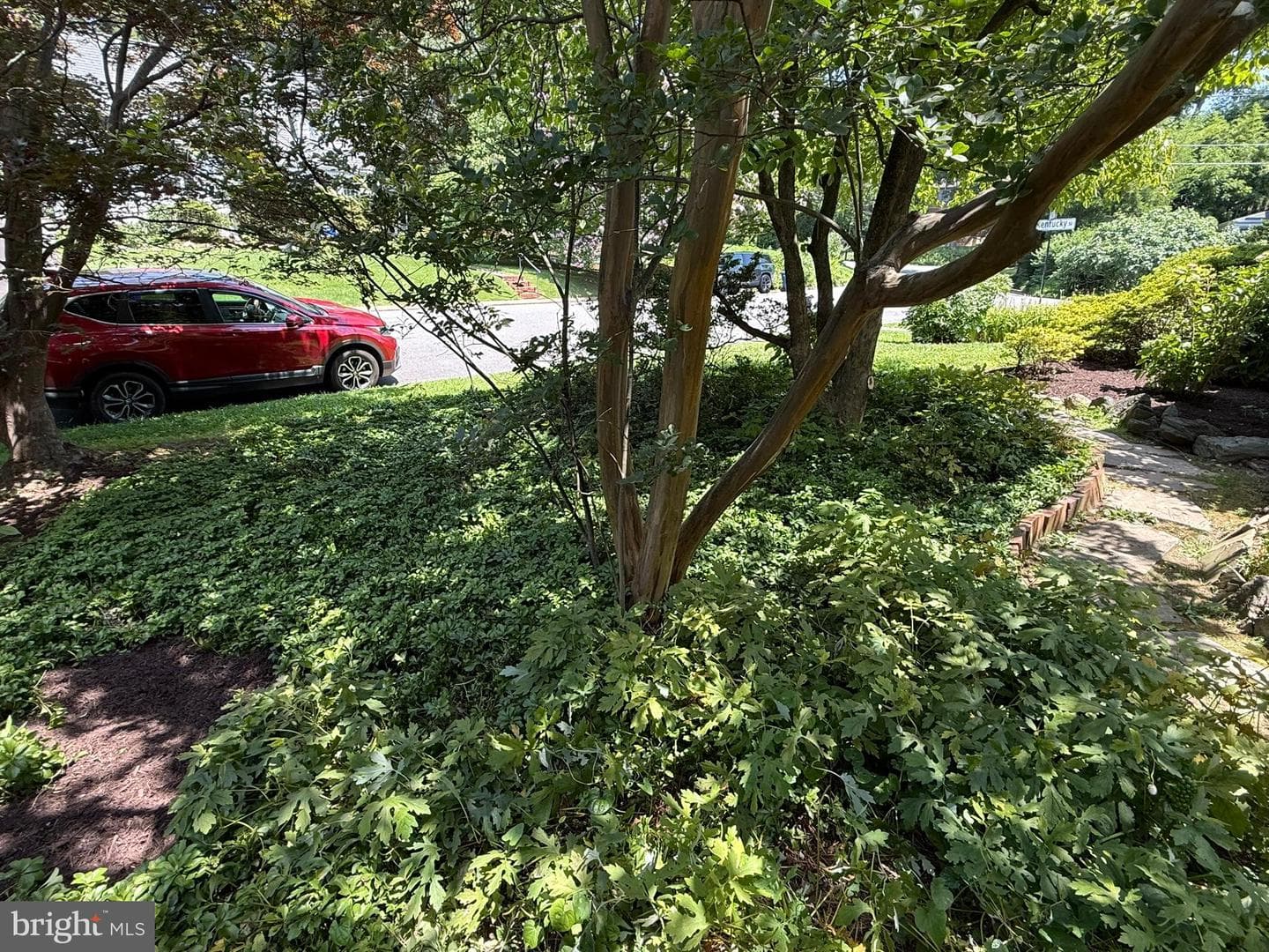898 N Kentucky Street photo 25