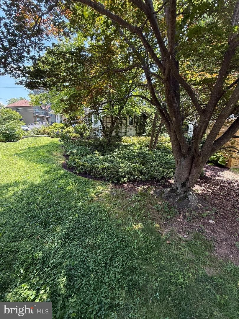 898 N Kentucky Street photo 26
