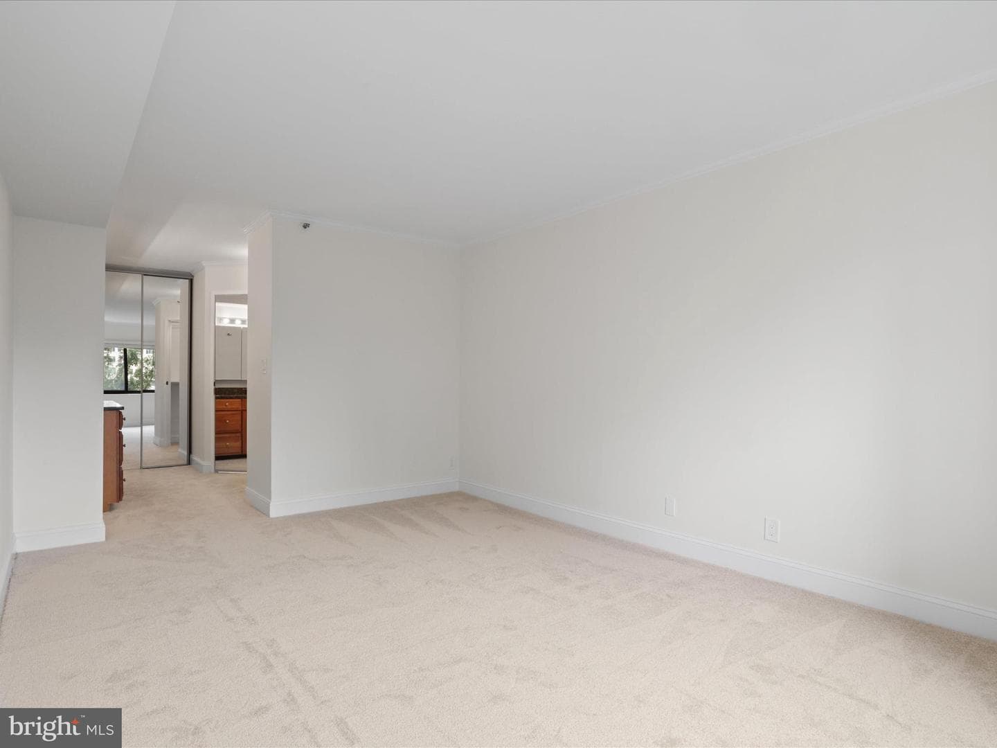 1600 N Oak Street #524 photo 19
