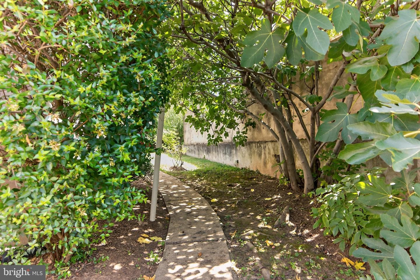 2114 N Oakland Street photo 29