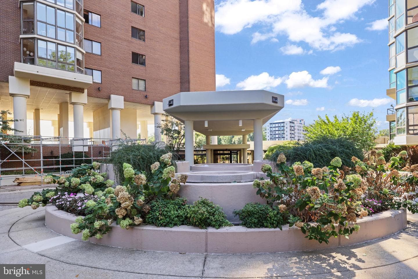 1600 N Oak Street #1233 photo 3