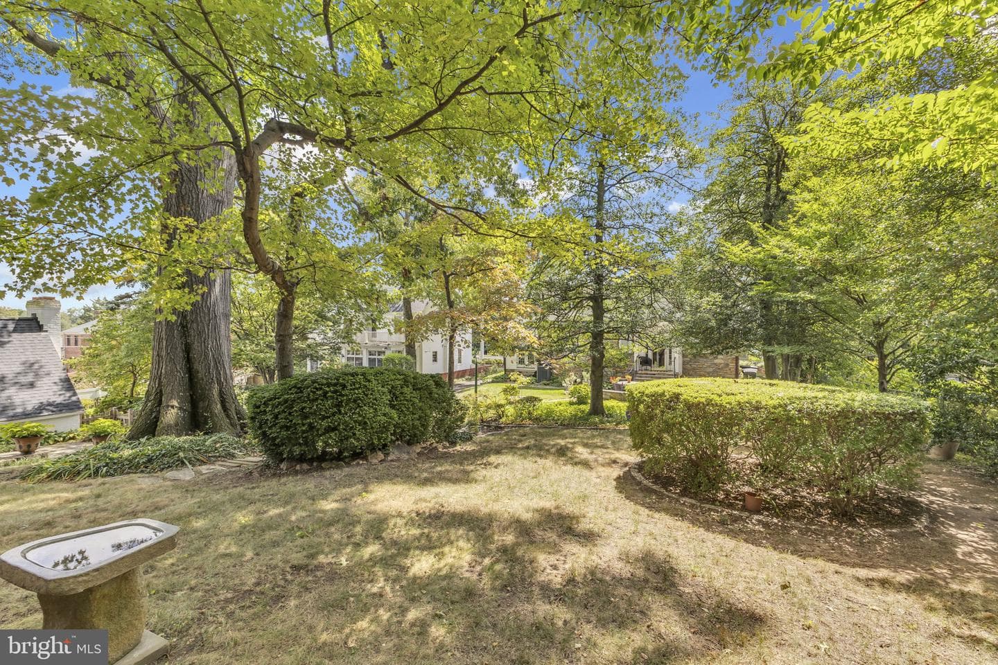 6223 Langston Boulevard photo 31