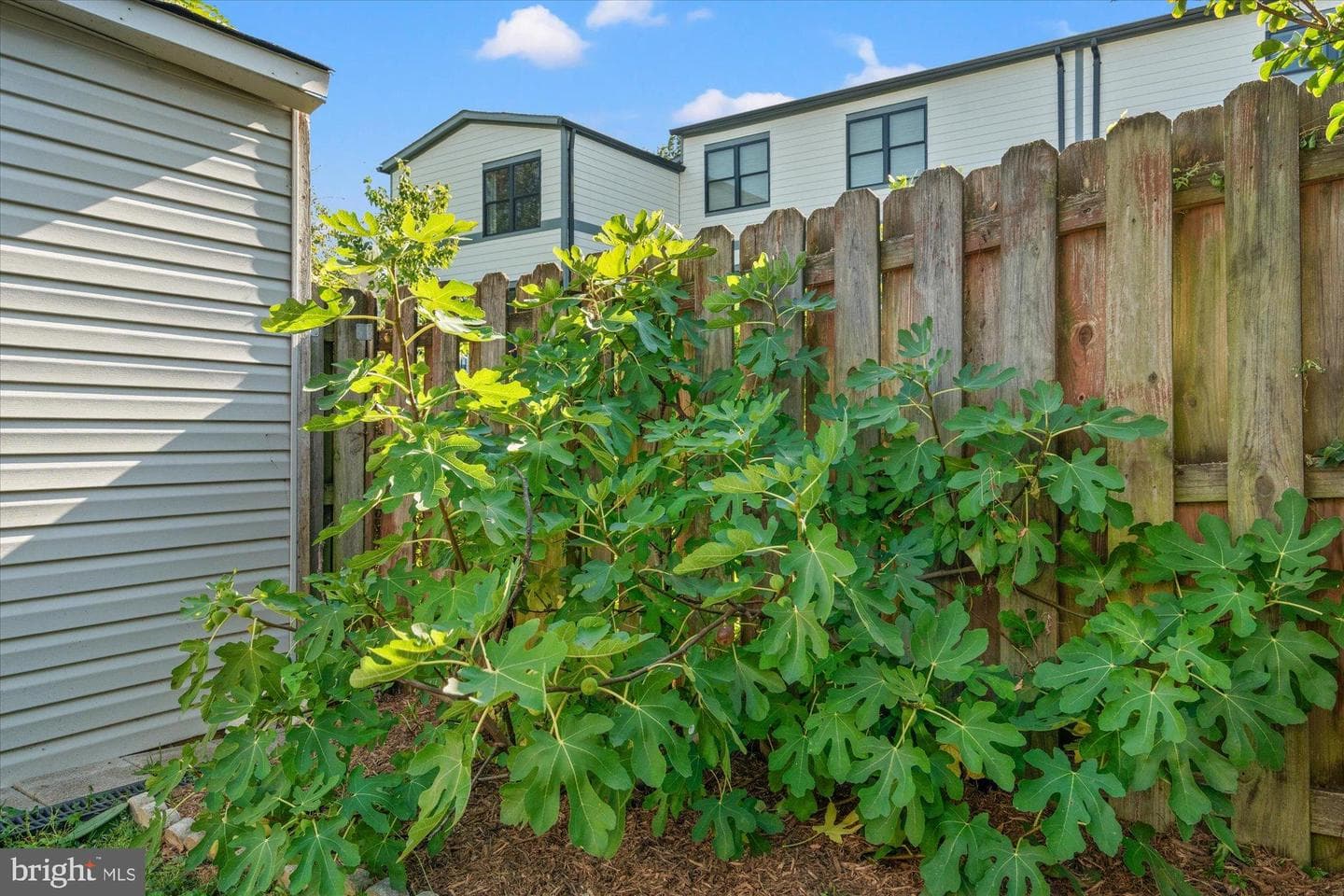 2046 S Shirlington Road photo 24