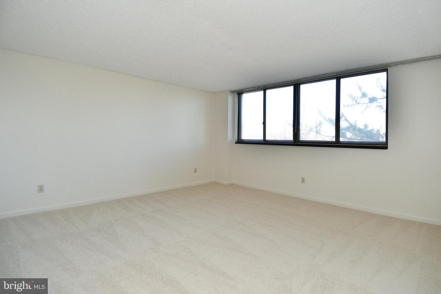 1101 Arlington Ridge Road #316 photo 31