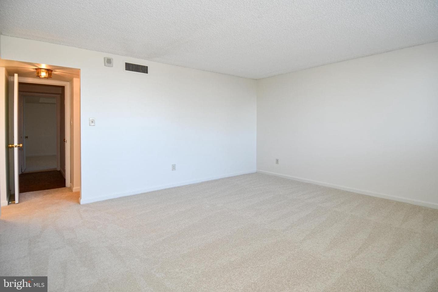 1101 Arlington Ridge Road #316 photo 32