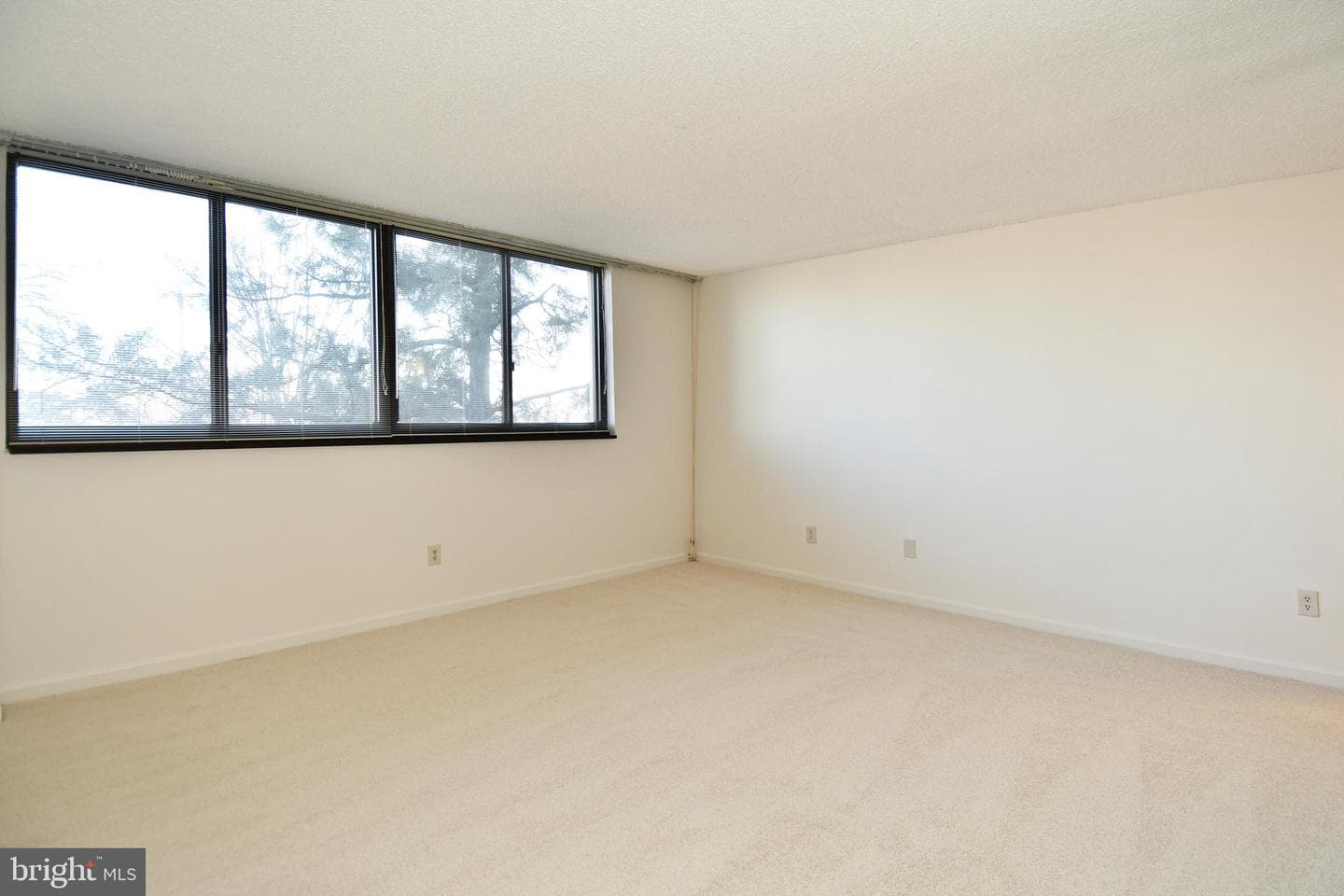 1101 Arlington Ridge Road #316 photo 33