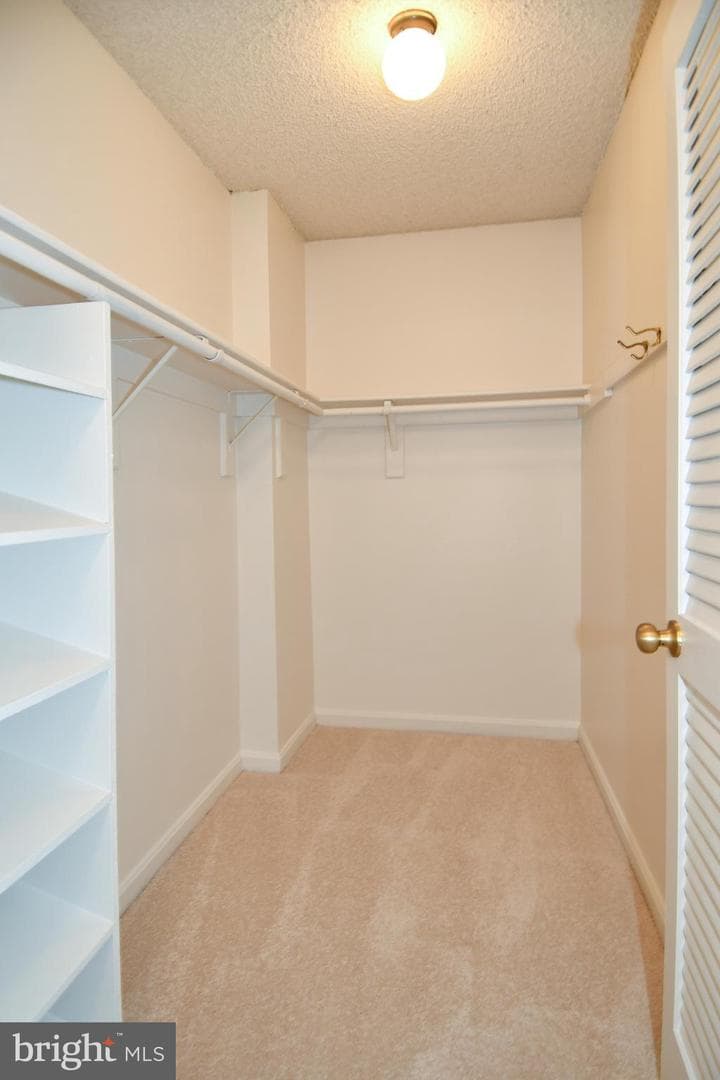 1101 Arlington Ridge Road #316 photo 45