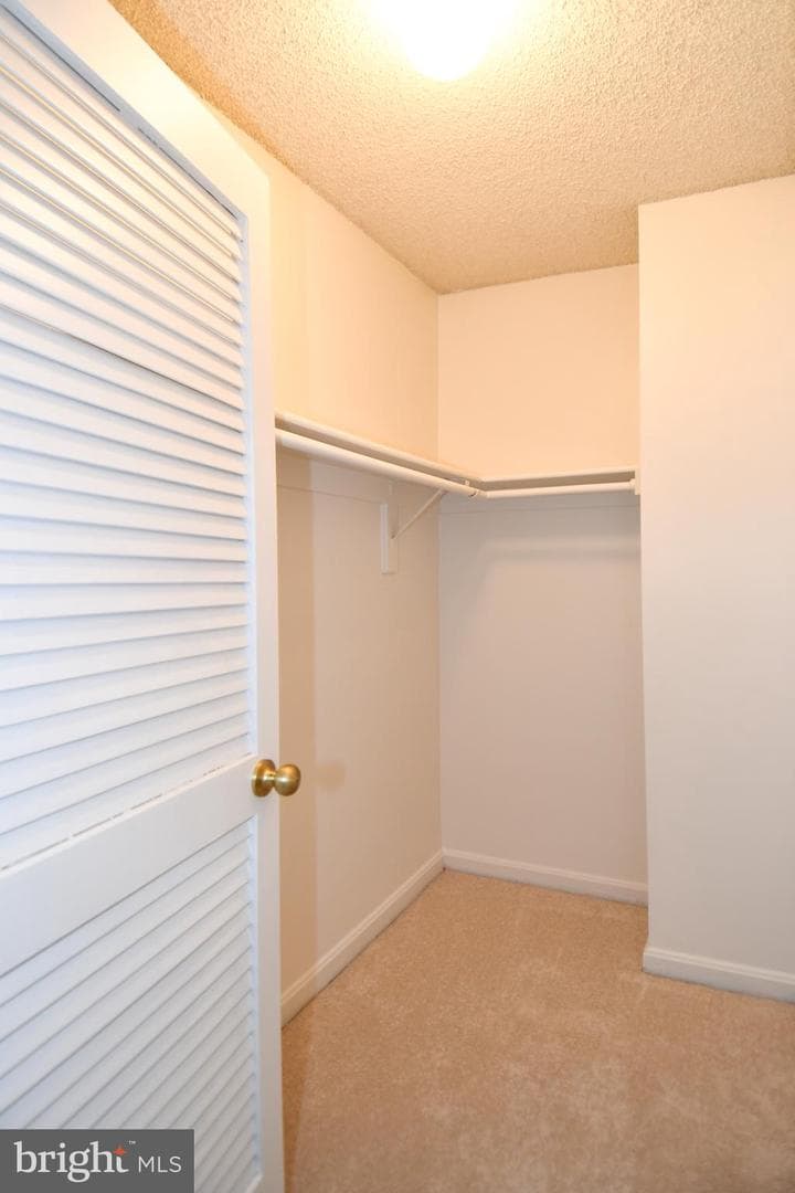1101 Arlington Ridge Road #316 photo 51