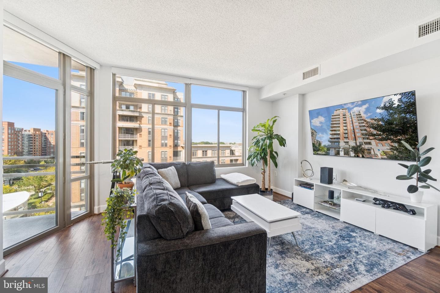 3650 S Glebe Road #846, Arlington