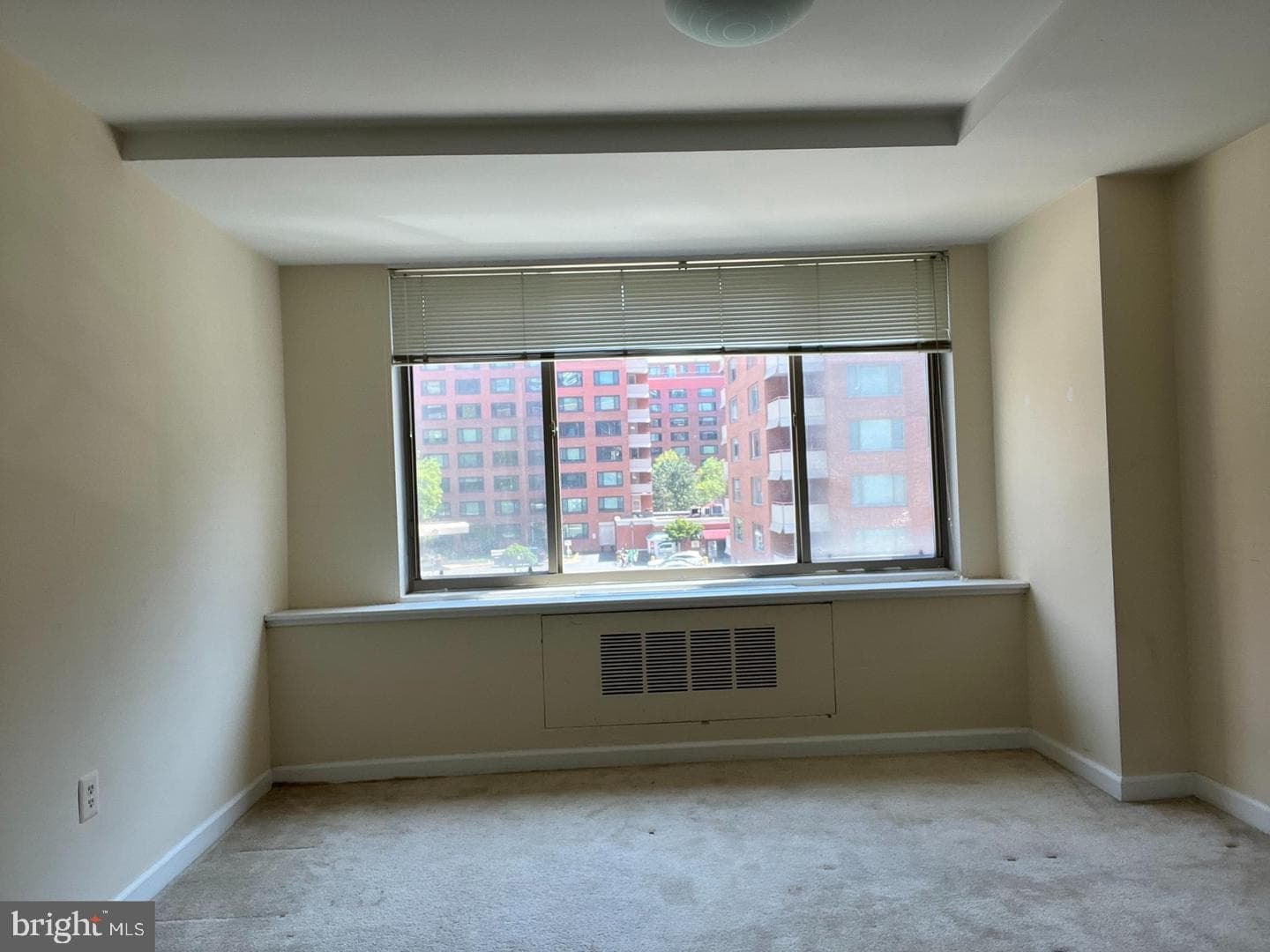 1121 Arlington Boulevard #443 photo 4