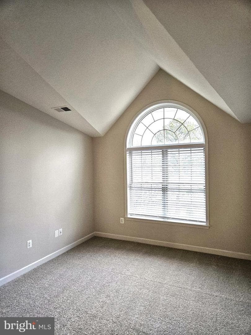 6908 Fairfax Drive #300 photo 13
