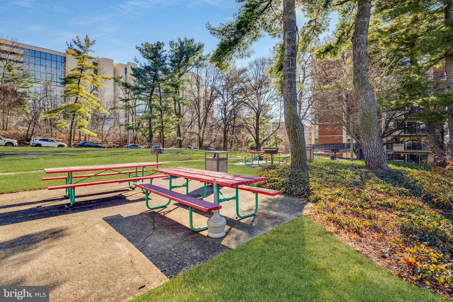 1300 Army Navy Drive #201 photo 42