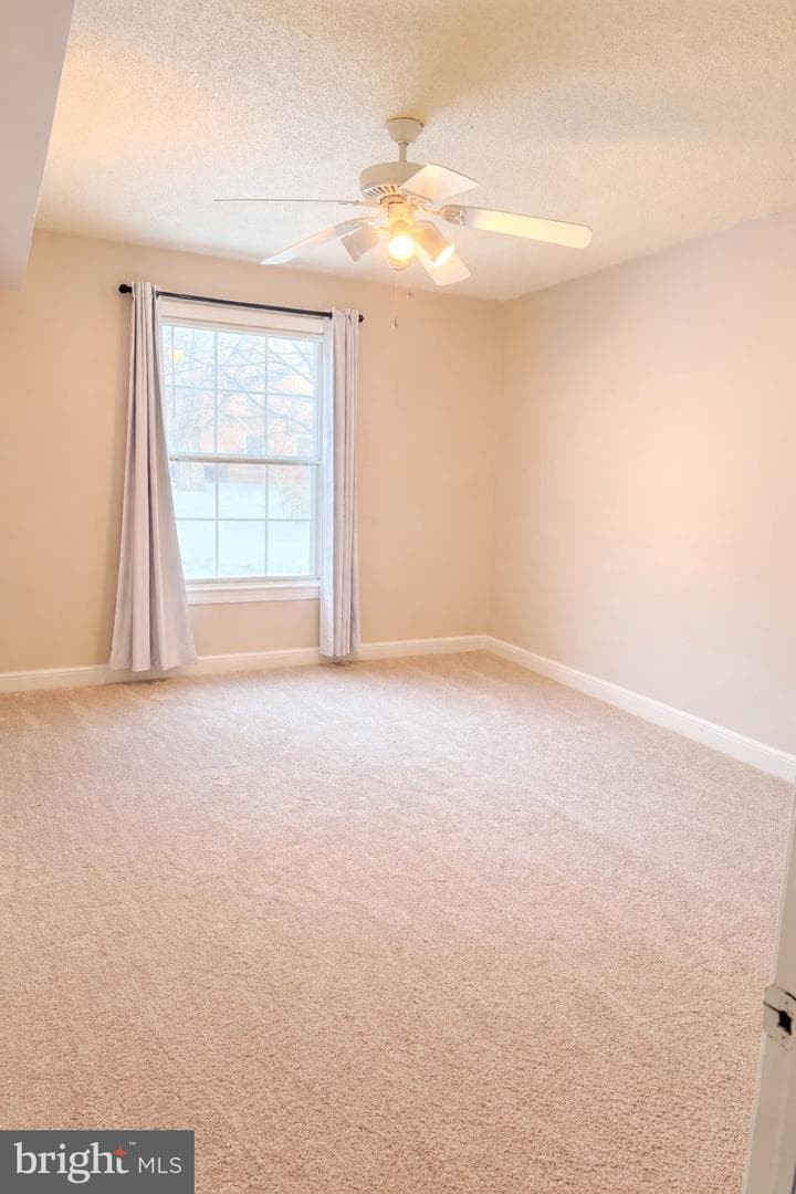 2511 Arlington Boulevard #101 photo 14
