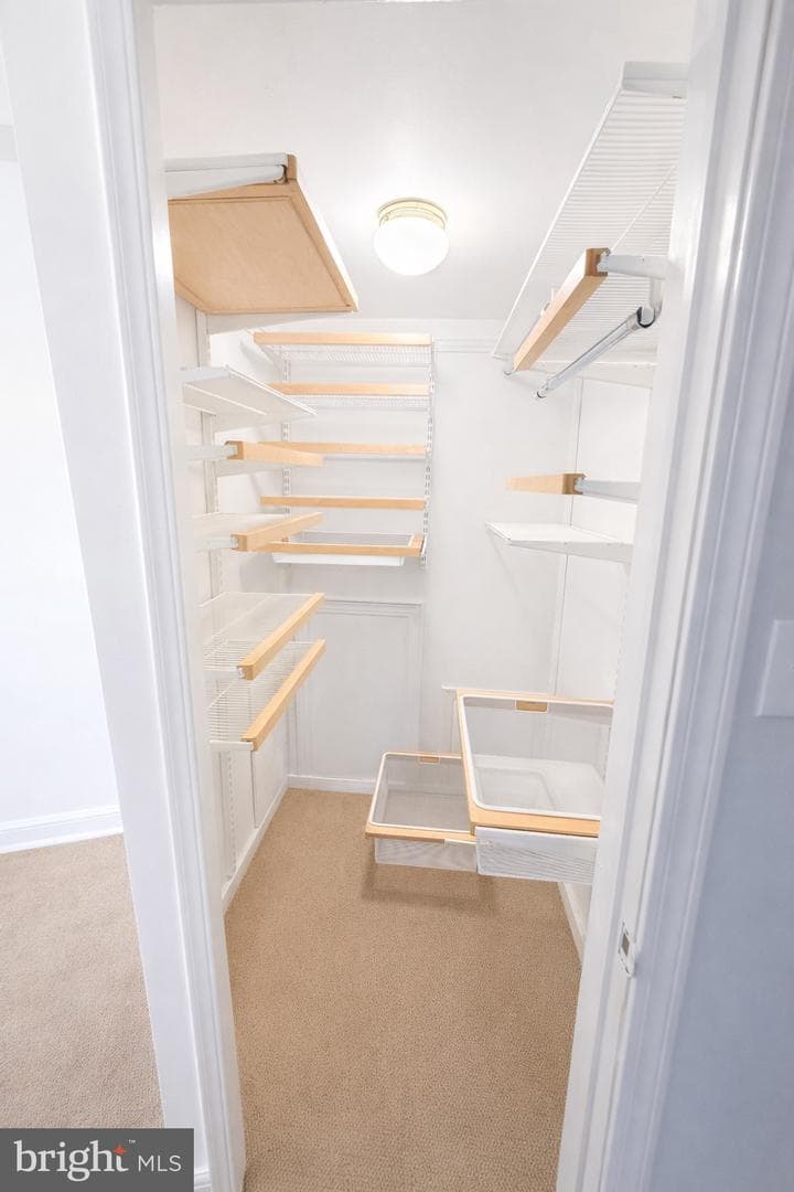 2511 Arlington Boulevard #101 photo 15