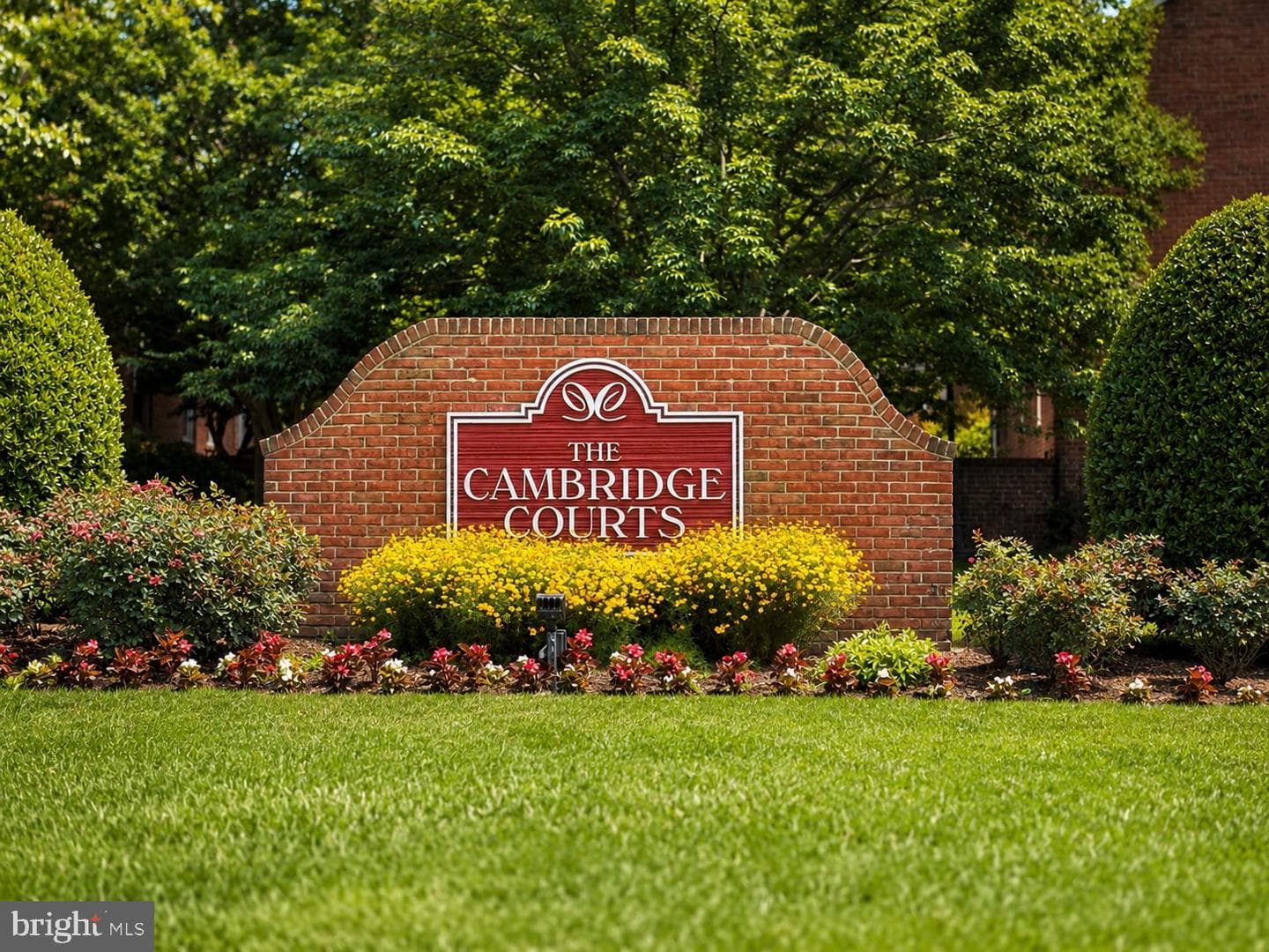 2511 Arlington Boulevard #101 photo 3