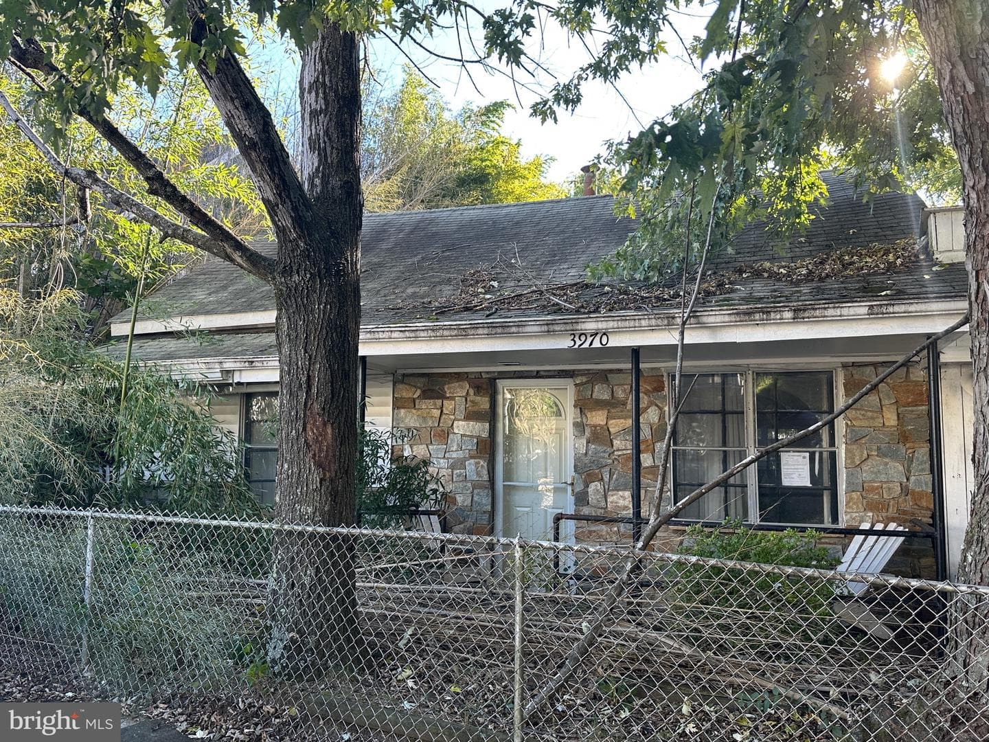 3970 26th Street N photo 4