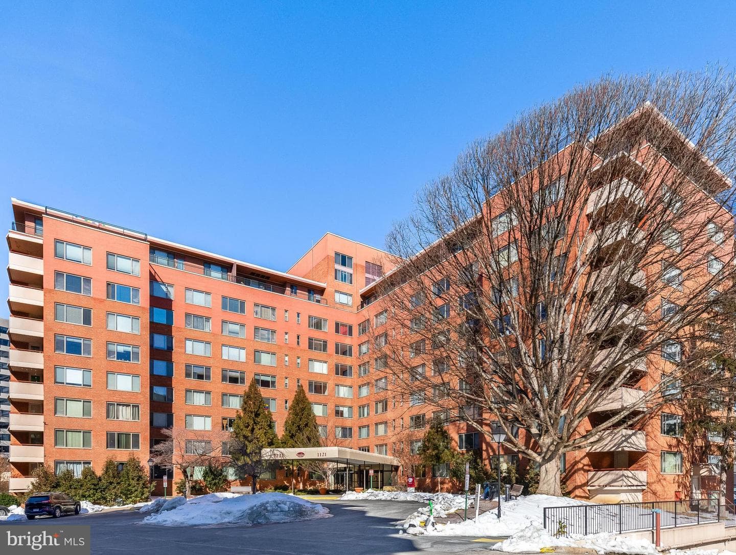 1121 Arlington Boulevard #110 photo 12